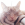Anna_r