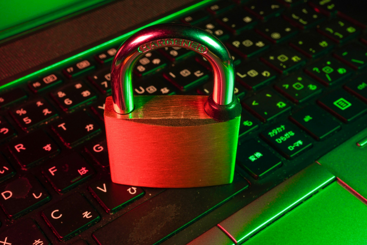 24596.jpg